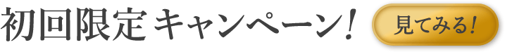 初回限定キャンペーンを見てみる